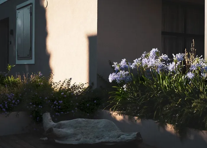 Casa Sol ヴィラ *