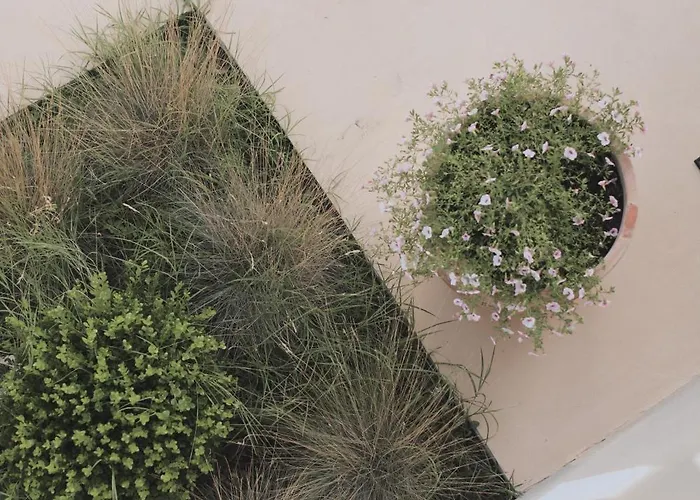 ヴィラ Casa Sol *